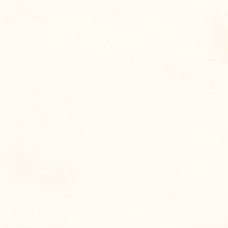 Freshman Parchment by Carole Designer Fabric Toasted Almond 100% Polyester INDIA 100,000 Wyzenbeek Double Rubs None 54" - Swanky Fabrics -