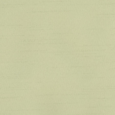 Bane Pear by Carole Designer Fabric With Grace 100% Polyester Hybrid FR Mexico 30,000 WYZENBEEK DOUBLE RUBS None 54" - Swanky Fabrics -