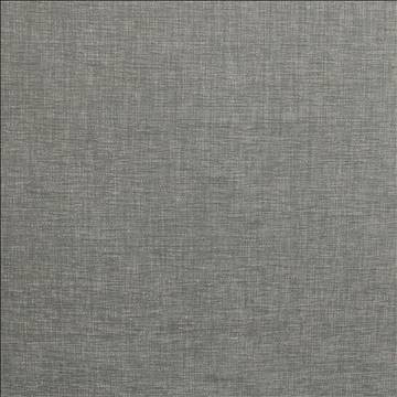 Kasmir Fabric Cityview Silver 5186 / 20 100% Other Fiber 170,000 Wyzenbeek Double Rubs </p><p>Repeat: Horizontal: N/A and Vertical: 0 Inches 54 Inches - My Fabric Connection -