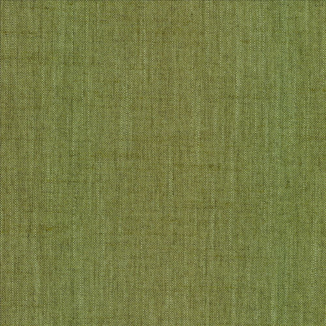 Kasmir Fabric Mcdowell Palm  5184 100% Polyester  INDIA  </p><p>Repeat: Horizontal: N/A and Vertical: N/A 55  - My Fabric Connection -