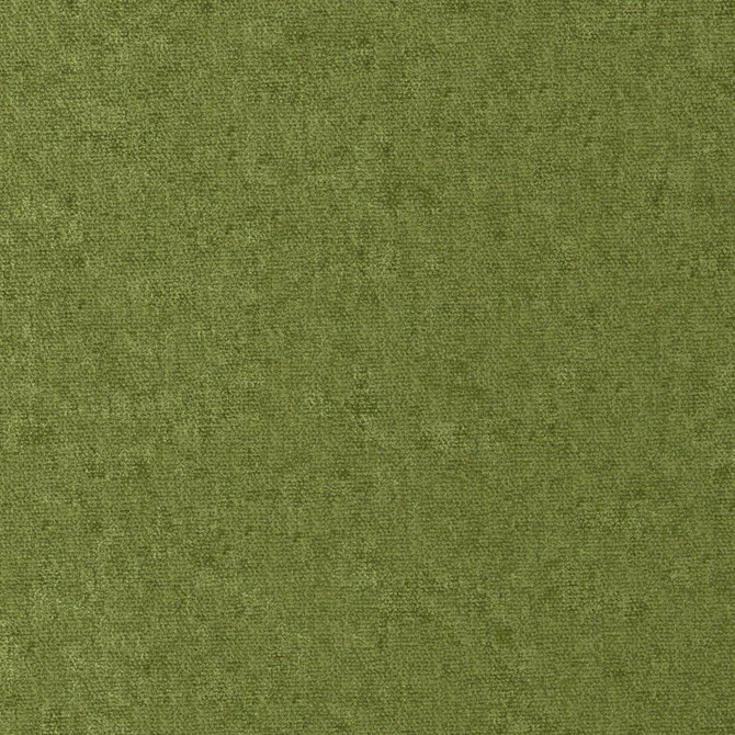 Maxwell Fabric Conte # 811 Grass Curled Up Viii 100% POLYESTER INDIA 54" - My Fabric Connection -