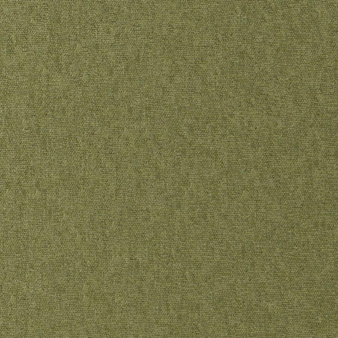 Maxwell Fabric Conte # 812 Olive Curled Up Viii 100% POLYESTER INDIA 54" - My Fabric Connection -