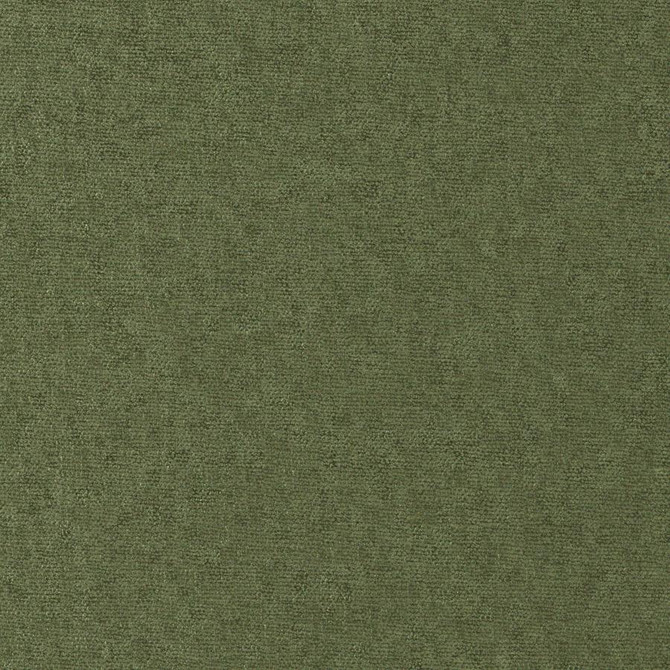 Maxwell Fabric Conte # 815 Pesto Curled Up Viii 100% POLYESTER INDIA 54" - My Fabric Connection -