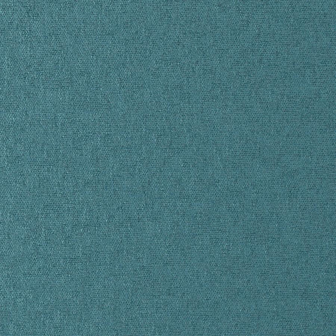 Maxwell Fabric Conte # 828 Nordic Curled Up Viii 100% POLYESTER INDIA 54" - My Fabric Connection -