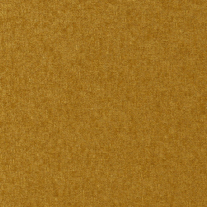 Maxwell Fabric CONTE 903 BUTTERSCOTCH CURLED UP VIII 100% POLYESTER INDIA 54" - My Fabric Connection -