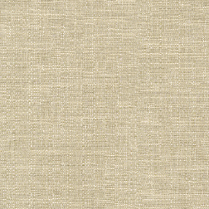 PKL Studio Fabric Avalon Oat 412859 74% cotton, 26% polyester India 51000 Horizontal: 0 and Vertical: 0 54 - My Fabric Connection -