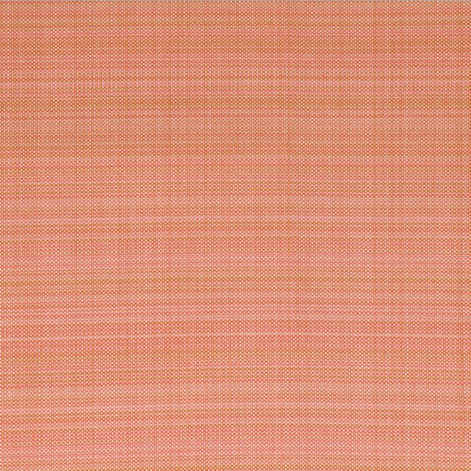 Bella-Dura Fabric Grasscloth Persimmon  100% BELLA DURA POLYOLEFIN USA 70000 H: N/A V: N/A 52"  - My Fabric Connection -