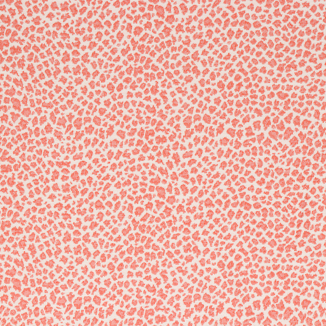 Bella-Dura Fabric Mozam Vermillion  100% HIGH UV POLYESTER USA 100,000 H: 13.5" V: 7.5" 54"  - My Fabric Connection -