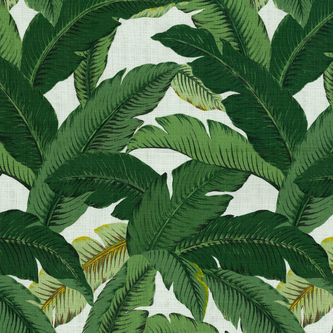 Tommy Bahama Fabric Tbo Swaying Palms Aloe 800740 Hawaiian Holiday(Tbo Dec 2010) 100% Polyester see sample see sample Horizontal: 18.00 inches and Vertical: 27.00 inches V 54 inches - My Fabric Connection -