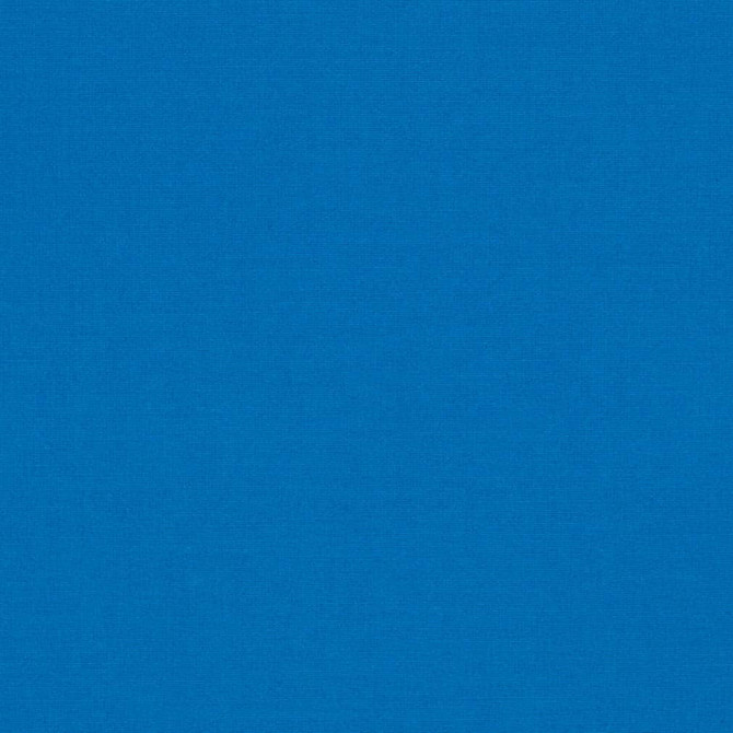 Charlotte Fabric D3456 Cabana 100% Solution Dyed Acrylic Asia Exceeds 120,000 Wyzenbeek Rubs (Heavy Duty) No Repeat 54 Inches - My Fabric Connection -