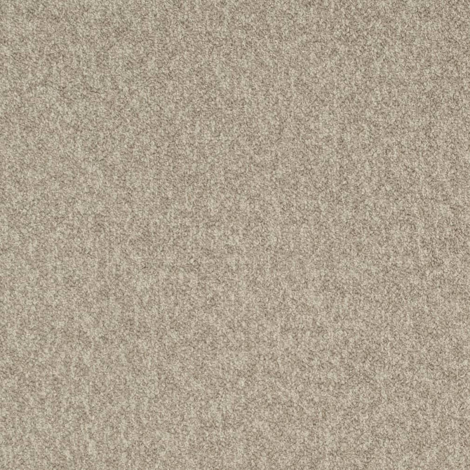 Charlotte Fabric D3655 Mid Century Modern 100% Polyester USA Exceeds 180,000 Wyzenbeek Rubs (Heavy Duty) No Repeat 54 Inches - My Fabric Connection -
