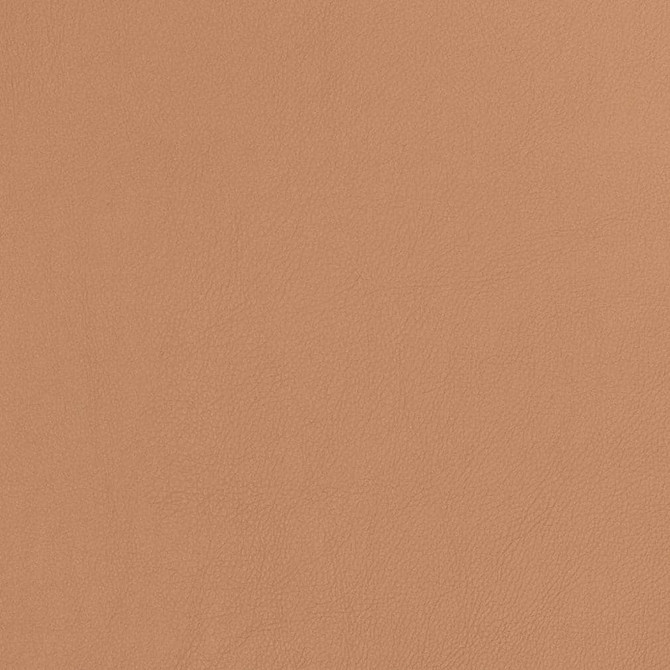 Charlotte Fabric V810 Breathables V 100% Polyurethane, 26oz. Asia Exceeds 2,000,000 Wyzenbeek Rubs (Heavy Duty) No Repeat 54 Inches - My Fabric Connection -