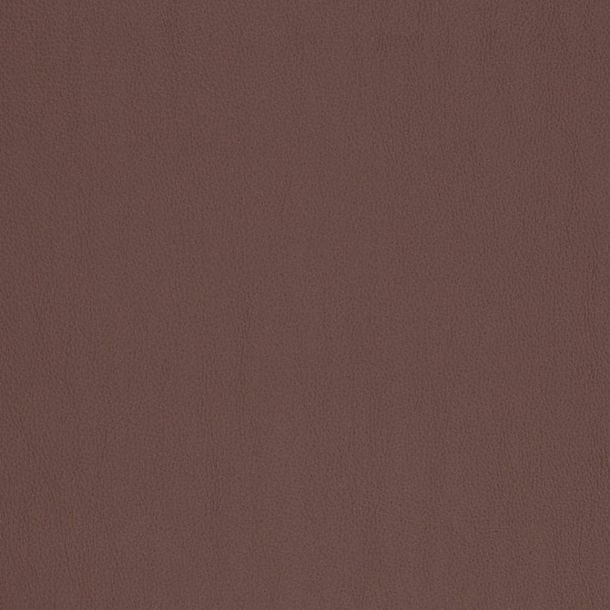 Charlotte Fabric V815 Breathables V 100% Polyurethane, 26oz. Asia Exceeds 2,000,000 Wyzenbeek Rubs (Heavy Duty) No Repeat 54 Inches - My Fabric Connection -