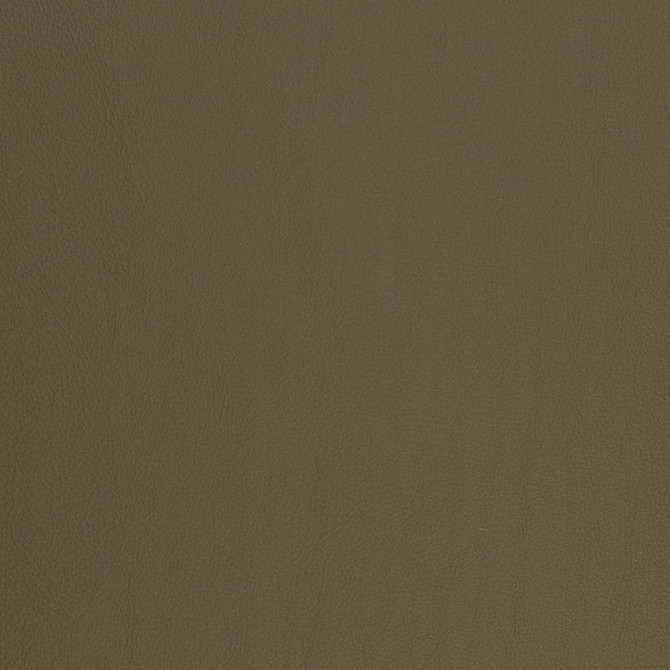 Charlotte Fabric V817 Breathables V 100% Polyurethane, 26oz. Asia Exceeds 2,000,000 Wyzenbeek Rubs (Heavy Duty) No Repeat 54 Inches - My Fabric Connection -