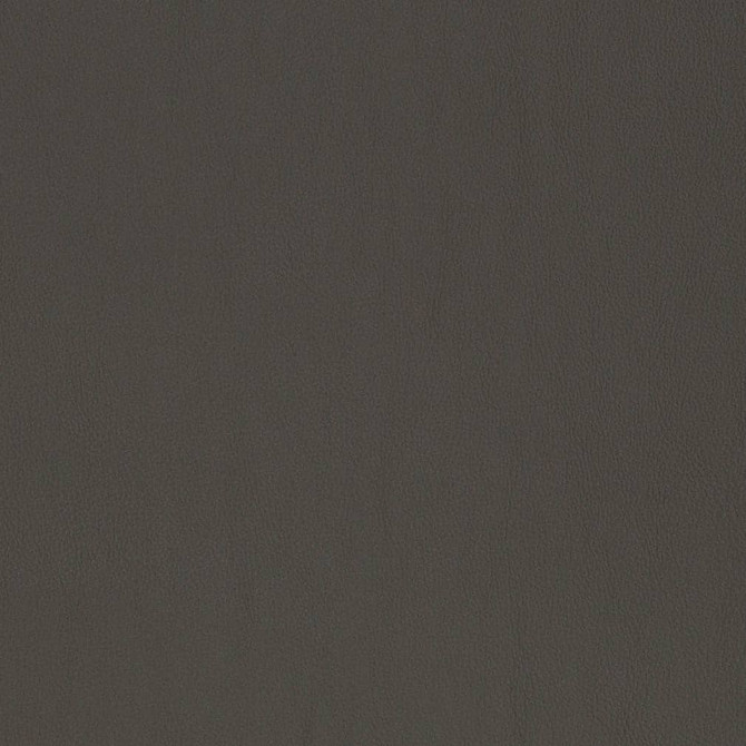 Charlotte Fabric V819 Breathables V 100% Polyurethane, 26oz. Asia Exceeds 2,000,000 Wyzenbeek Rubs (Heavy Duty) No Repeat 54 Inches - My Fabric Connection -