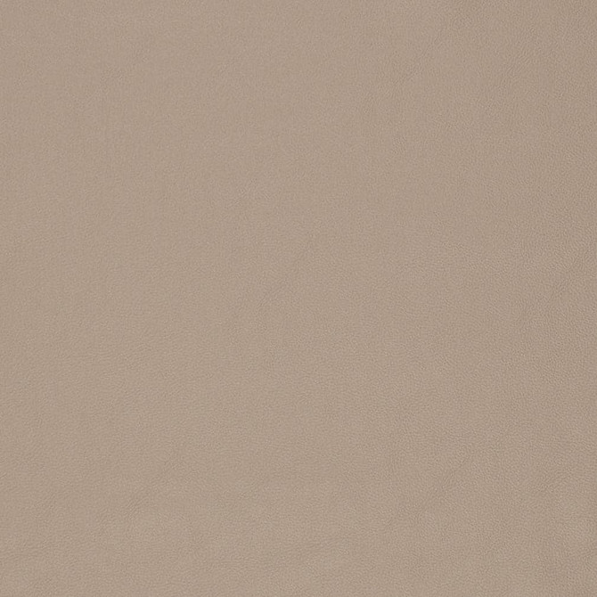 Charlotte Fabric V829 Breathables V 100% Polyurethane, 26oz. Asia Exceeds 2,000,000 Wyzenbeek Rubs (Heavy Duty) No Repeat 54 Inches - My Fabric Connection -