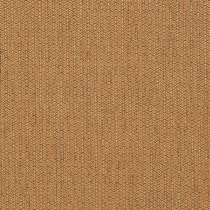 Charlotte Fabric CB600-258 Shades of Honey 100% Polyester Mexico Exceeds 40,000 Wyzenbeek Rubs (Heavy Duty) No Repeat 54 Inches - My Fabric Connection -