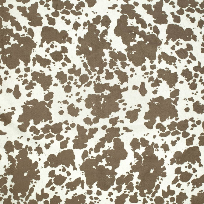 Charlotte Fabric D3792 Untamed Textures 100% Polyester Asia Exceeds 120,000 Wyzenbeek Rubs (Heavy Duty) Horizontal 18" x Vertical 36" 54 Inches - My Fabric Connection -