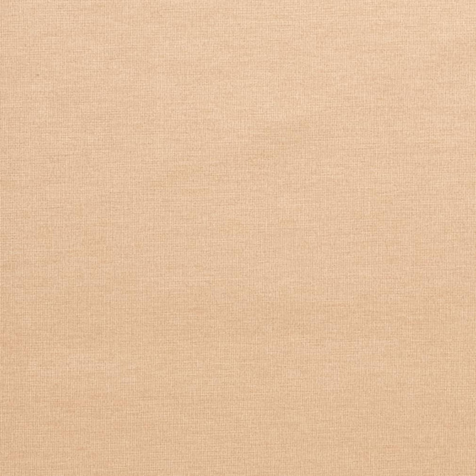 Charlotte Fabric D3822 Classic Velvet II 90% Polyester, 10% Nylon Asia Exceeds 240,000 Wyzenbeek Rubs (Heavy Duty) No Repeat 54 Inches - My Fabric Connection -