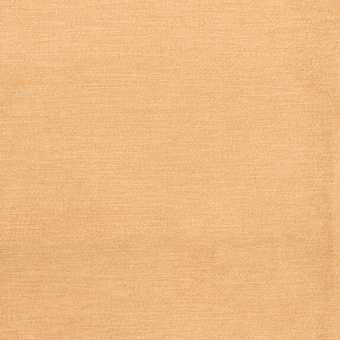 Charlotte Fabric D3830 Classic Velvet II 90% Polyester, 10% Nylon Asia Exceeds 240,000 Wyzenbeek Rubs (Heavy Duty) No Repeat 54 Inches - My Fabric Connection -