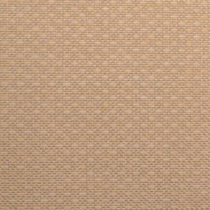 Europatex Fabric Allegro Buff Allegro 100% Polyester 0.00" 54.00 inches - My Fabric Connection -