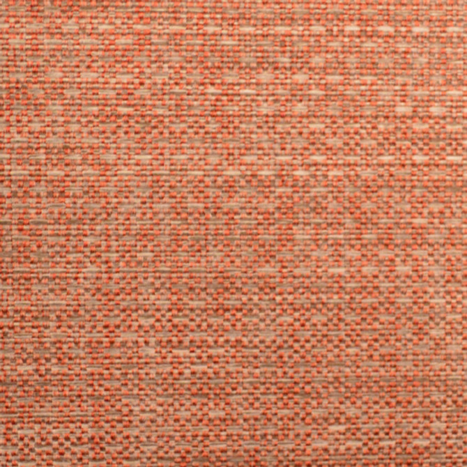 Europatex Fabric Allegro - Peach Allegro 100% Polyester China See Sample Horizontal: N/A and Vertical: N/A 54.00 inches  - My Fabric Connection -