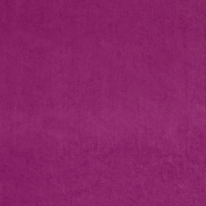 Europatex Fabric Ashwan - Magenta Ashwan 100% Polyester China See Sample Horizontal: N/A and Vertical: N/A 58.00 inches  - My Fabric Connection -