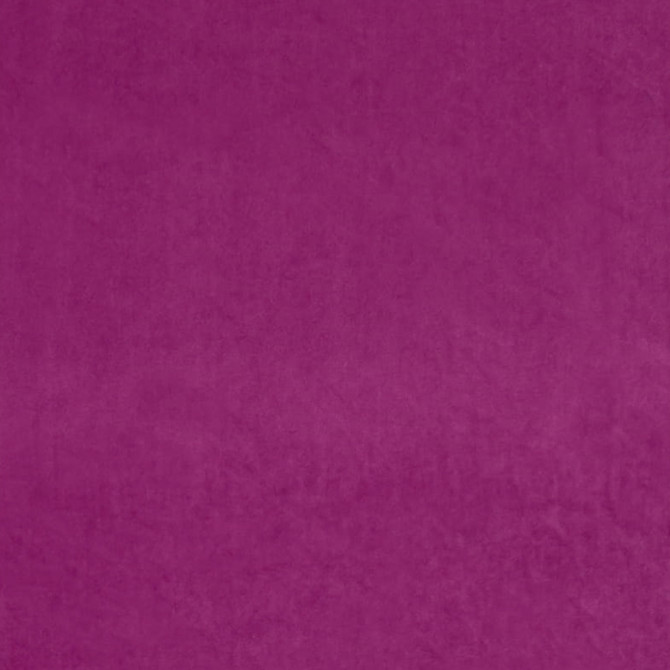 Europatex Fabric Ashwan Magenta Ashwan 100% Polyester 0.00" 58.00 inches - My Fabric Connection -