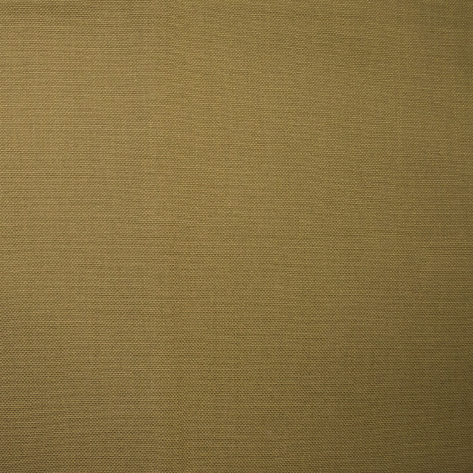 Europatex Fabric Barry Pecan Barry 100% Cotton 0.00" 55.00 inches - My Fabric Connection -