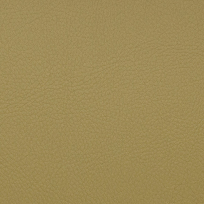 Europatex Fabric Neptune Aloe Neptune Surface: 100% PVC (Phthalate Free) Backing: 100% Polyester 0.00" 54.00 inches - My Fabric Connection -