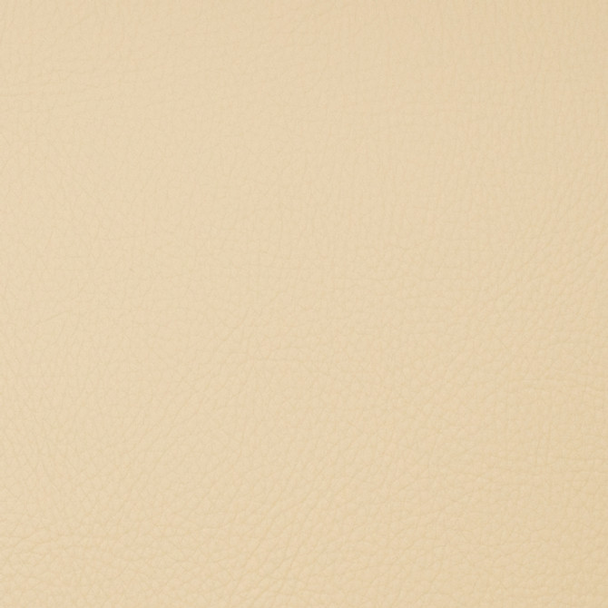 Europatex Fabric Neptune - Parsnip Neptune Surface: 100% PVC (Phthalate Free) Backing: 100% Polyester China See Sample Horizontal: N/A and Vertical: N/A 54.00 inches  - My Fabric Connection -