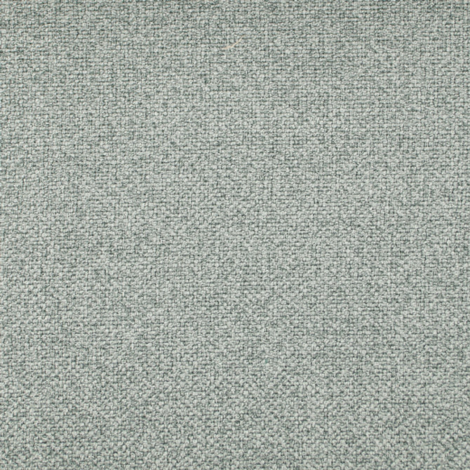 Europatex Fabric Oswego - Moon Oswego 100% Polyester China See Sample Horizontal: N/A and Vertical: N/A 55.00 inches  - My Fabric Connection -