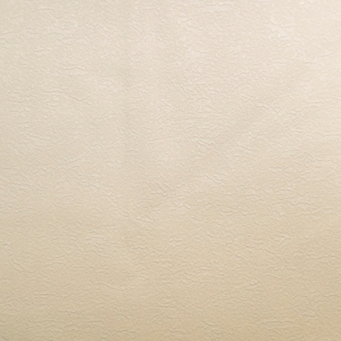 Europatex Fabric Pioneer - 01 Pioneer 55% PVC, 40% Polyester, 5% Polyurethane China See Sample Horizontal: N/A and Vertical: N/A 55.00 inches  - My Fabric Connection -