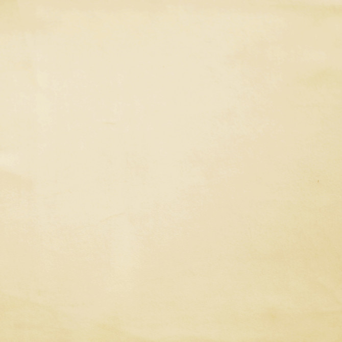 Europatex Fabric Plush 03 Plush 100% Polyester 0.00" 55.00 inches - My Fabric Connection -