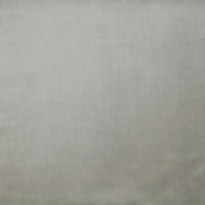 Europatex Fabric Plush 06 Plush 100% Polyester 0.00" 55.00 inches - My Fabric Connection -