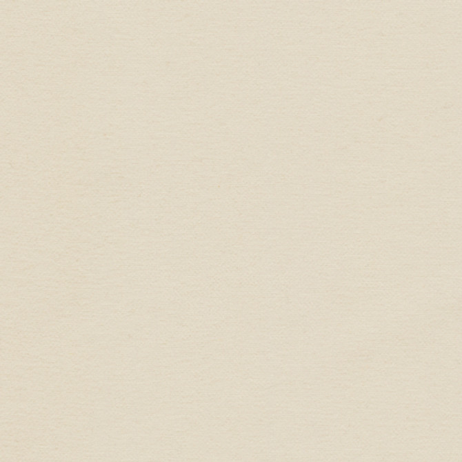 Europatex Fabric Samson - Quartz Samson 100% Polyester China See Sample Horizontal: N/A and Vertical: N/A 55.00 inches  - My Fabric Connection -