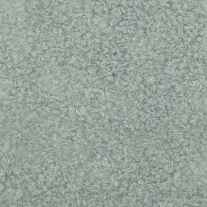 Europatex Fabric Teddy Dove Teddy 100% Polyester 0.00" 57.00 inches - My Fabric Connection -