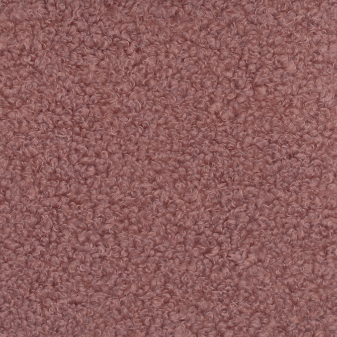 Europatex Fabric Teddy Rose Teddy 100% Polyester 0.00" 57.00 inches - My Fabric Connection -