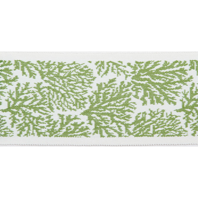 Europatex Fabric Pergola Coral Tape Lime Pergola 100% Solution Dyed Acrylic 3.25 inches - My Fabric Connection -