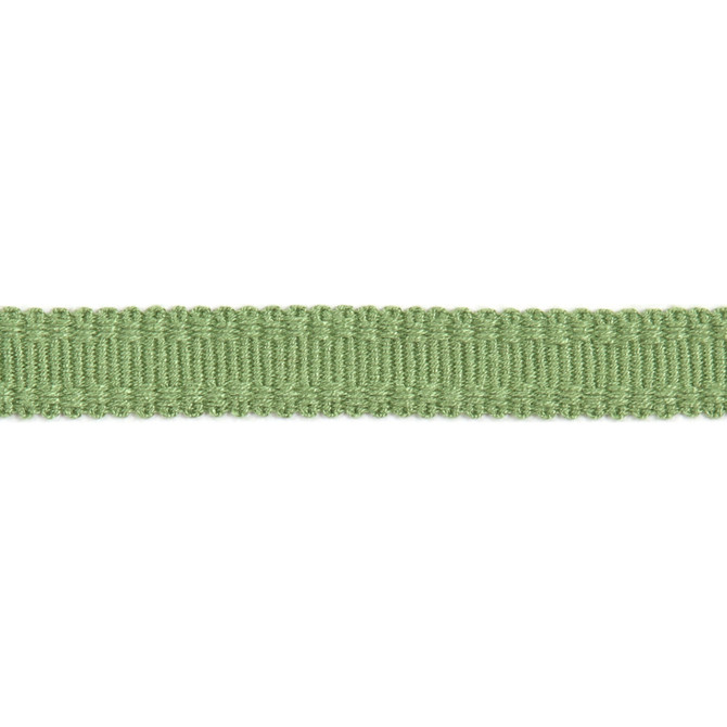 Europatex Fabric Versailles 9/16" Raised Edge Gimp Lime Versailles 100% Rayon 0.56 inches - My Fabric Connection -