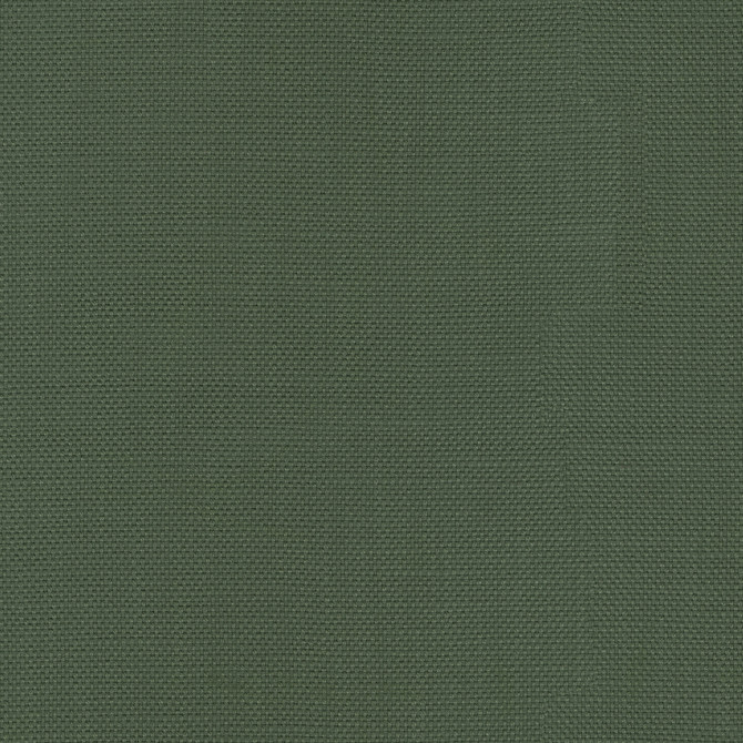 PKL Studio Fabric Centro Forest 470855 - 100% cotton Pakistan 51000 Horizontal: N/A and Vertical: N/A 54 - My Fabric Connection -