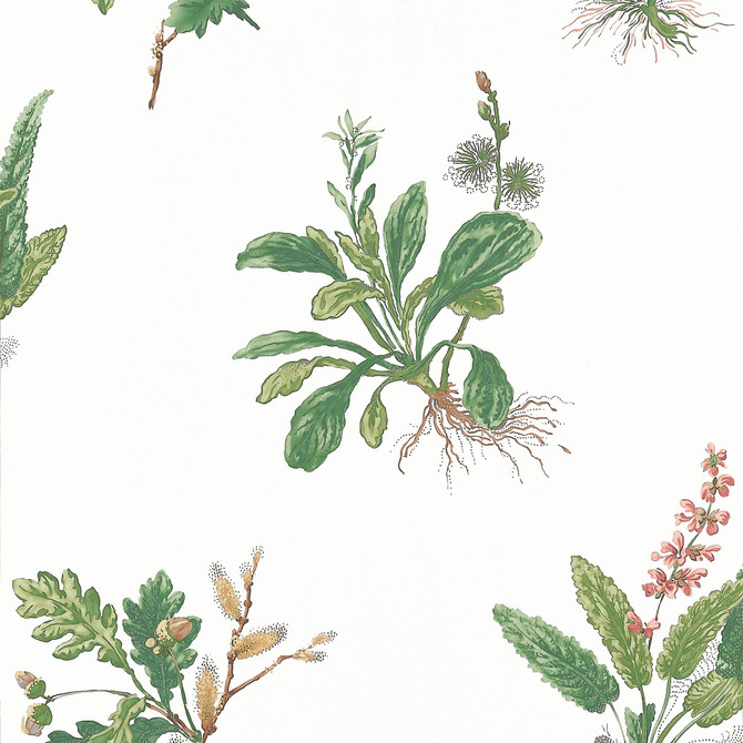 Anna French Wallpaper Woodland Green and Blush AT57852 Wallpaper </p><p>Repeat: V: 21.50"(54.61 cm) 20.50"(52.07 cm) - My Fabric Connection -