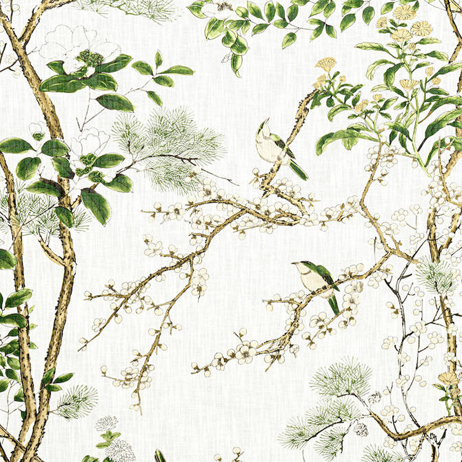 Thibaut Fabric Katsura Green and White F913621 Fabric 82% Viscose, 18% Linen SCOTLAND 20000 </p><p>Repeat: V: 50.5 54 - My Fabric Connection -