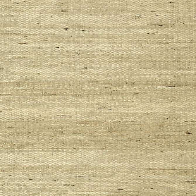 Thibaut Wallpaper Maranta Arrowroot Beige T85006 Wallpaper Grasscloth Wallpaper KOREA - </p><p>Repeat: V: - 36 - My Fabric Connection -