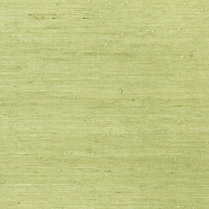 Thibaut Wallpaper Maranta Arrowroot Green T85012 Wallpaper Grasscloth Wallpaper KOREA - </p><p>Repeat: V: - 36 - My Fabric Connection -