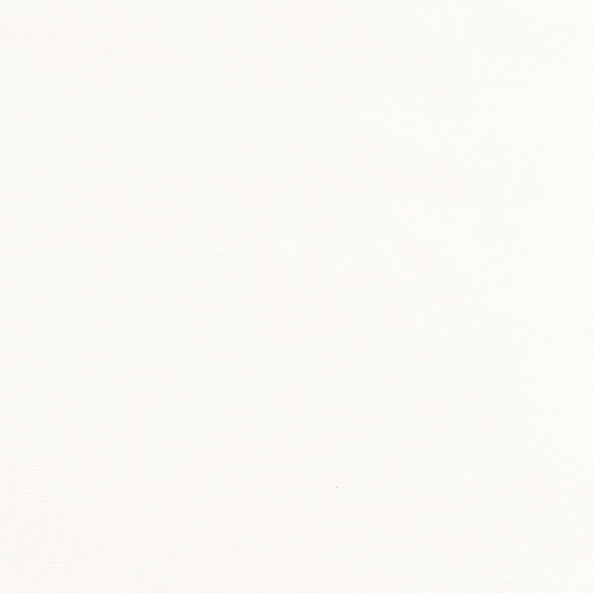 Thibaut Fabric Tessa Snow White W81650 Fabric 100% Solution Dyed Acrylic MEXICO - </p><p>Repeat: V: 0 54 - My Fabric Connection -