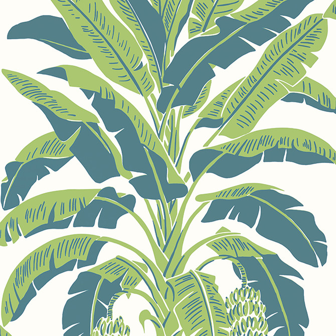 Thibaut Wallpaper Banana Tree Green and Blue T13918 Wallpaper Wallpaper U.S.A. - </p><p>Repeat: V: 36 27 - My Fabric Connection -