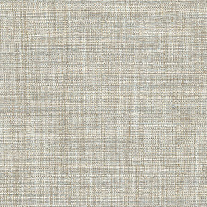 Carole Fabric Main Chance Rain Abode 100% Polyester India 30,000 Wyzenbeek Double Rubs None 56" - My Fabric Connection -