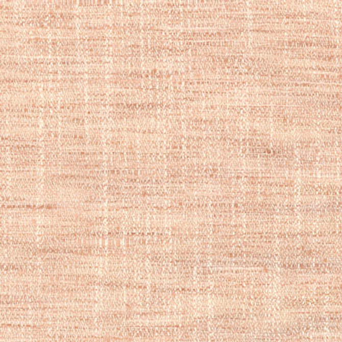 Carole Fabric Sidewalk Salmon Abode 100% Polyester India 100,000 Wyzenbeek Double Rubs None 54" - My Fabric Connection -