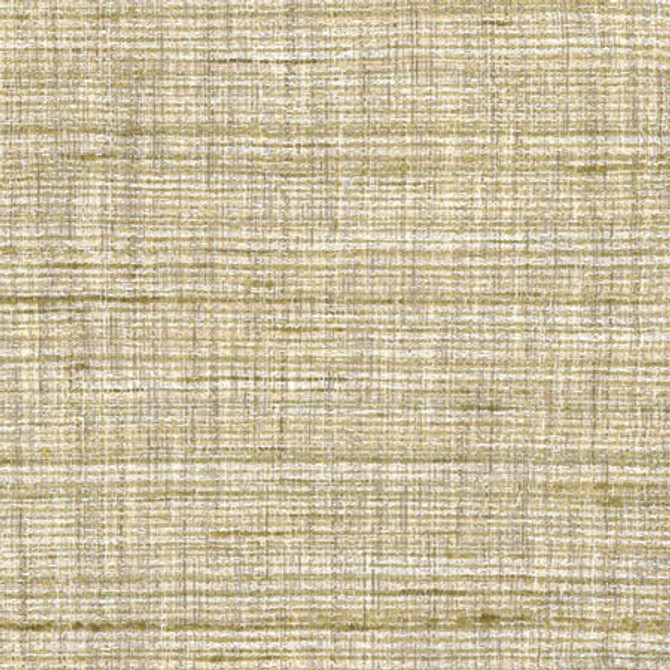 Carole Fabric Tabletop Dew Abode 100% Polyester India 30,000 Wyzenbeek Double Rubs None 54.75" - My Fabric Connection -